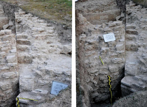 Pl. 2. (L)Ibida 2011, Sectorul Curtina X